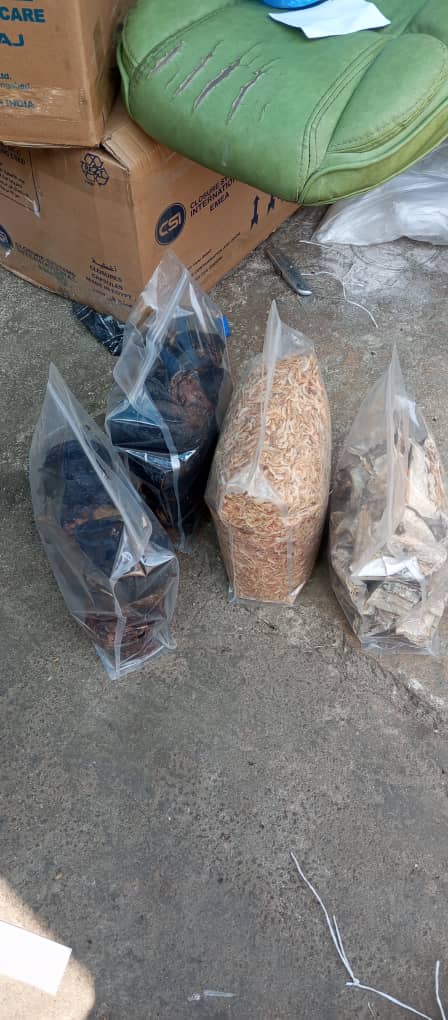 Dried Fish And Cray Fish